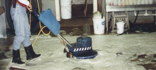 Carpet Cleaning Woes—A History of Specialty Fabrics